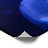 JELLYFISH POSTER (Hoek)