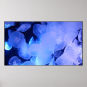JELLYFISH POSTER (Voorkant)