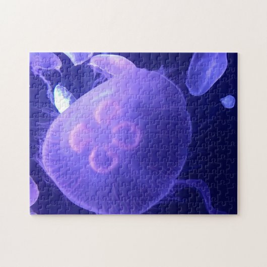 Jellyfish Puzzle Legpuzzel (Horizontaal)