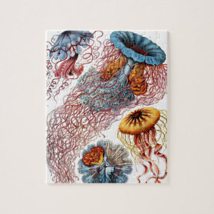 Jellyfish (Scheibenquallen) door Ernst Haeckel Legpuzzel