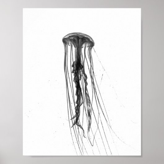 Jellyfish Silhouette | POSTER (Voorkant)