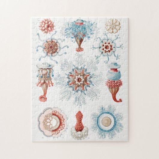 Jellyfish, Siphonophorae Staatsquallen Marine Life Legpuzzel (Verticaal)