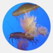 Jellyfish Sticker (Voorkant)