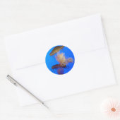 Jellyfish Sticker (Envelop)