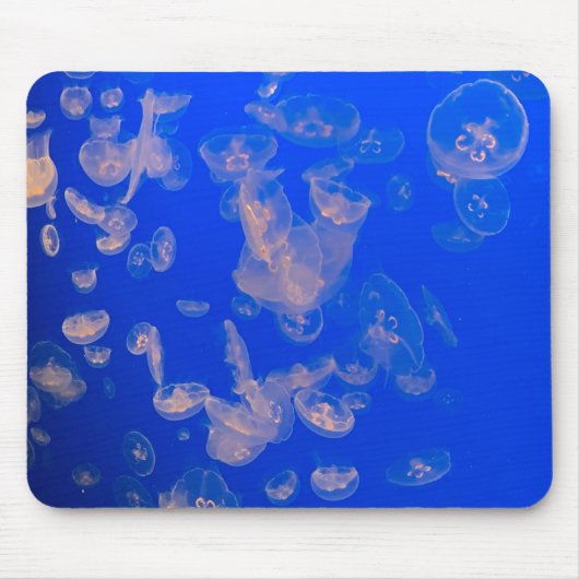 Jellyfish Swimming Photo Ocean Muismat (Voorkant)