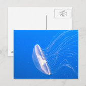 Jellyfish Tentacles Briefkaart (Voorkant / Achterkant)