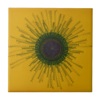 Jellyfish Tile Tegeltje