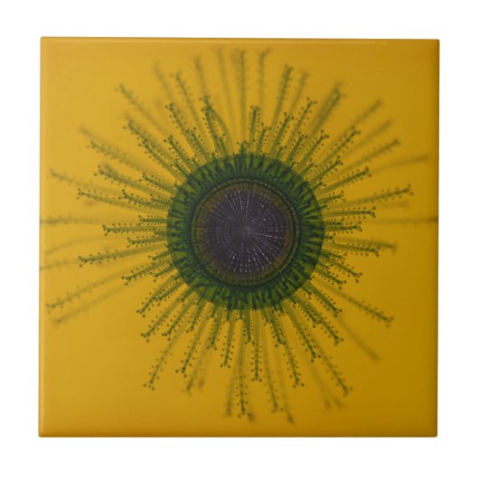 Jellyfish Tile Tegeltje (Voorkant)