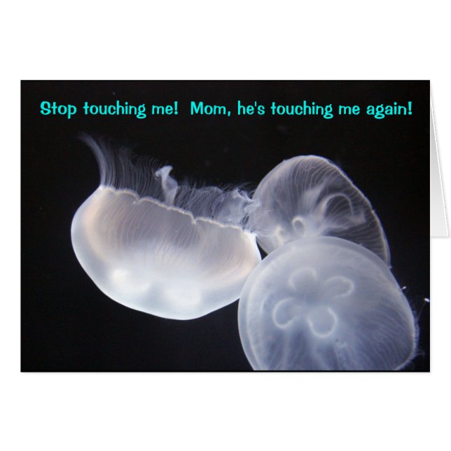 Jellyfish Touch (Voorkant Horizontaal)