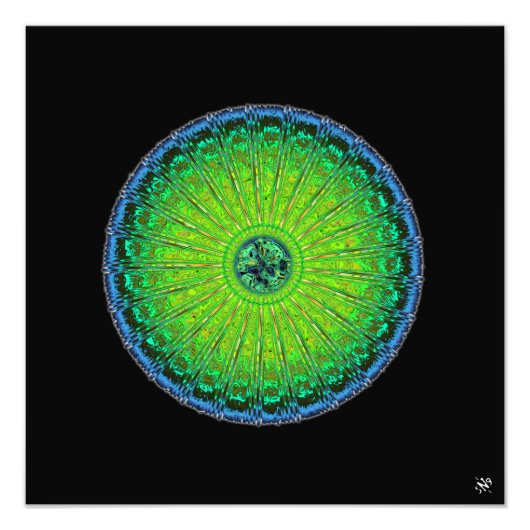 Jellyfish umbrella foto afdruk (Voorkant)