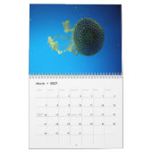 Jellyfish Wall Agenda Kalender (Mar 2027)