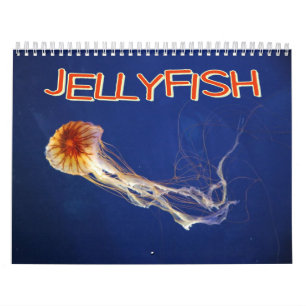 Jellyfish Wall Agenda Kalender