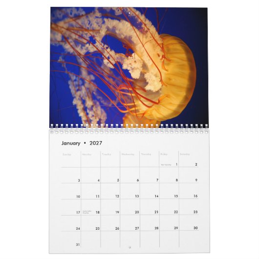 Jellyfish Wall Agenda Kalender (Jan 2027)