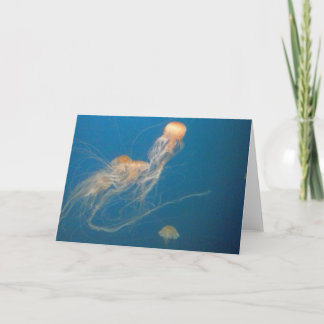 JellyFish Wenskaart Kaart
