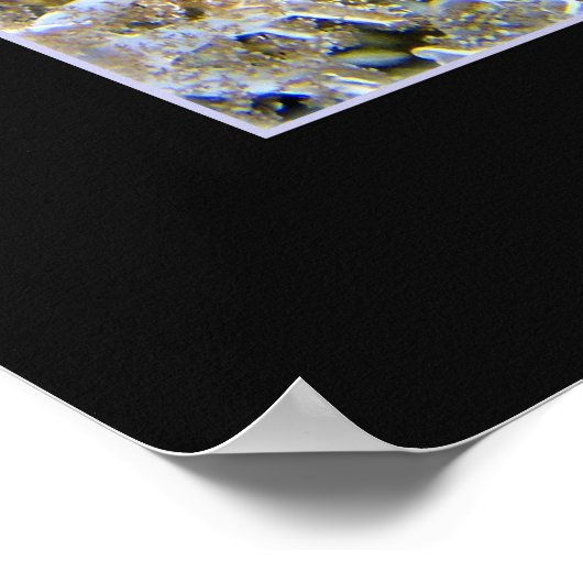 Jellyship Poster (Hoek)