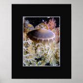 Jellyship Poster (Voorkant)