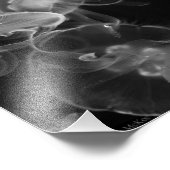 Jellyvis onderwater foto afdruk (Hoek)