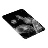 Jellyvis onderwater magneet (Rechterzijde)