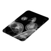 Jellyvis onderwater magneet (Linkerzijde)