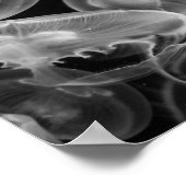 Jellyvis onderwater poster (Hoek)