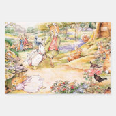 Jemima Puddle Duck loopt met Fox Inpakpapier Vel (Voorkant 3)