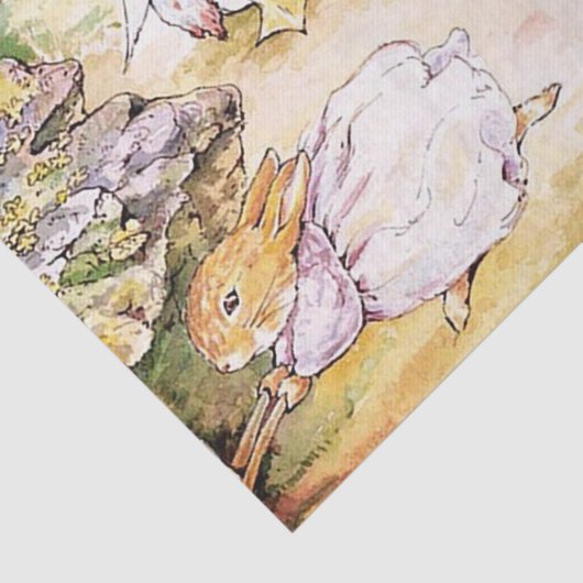 Jemima Puddle Duck loopt met Fox Tissuepapier (Detail)