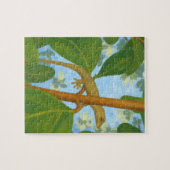 Jeminee! Gecko schilderen Legpuzzel (Horizontaal)