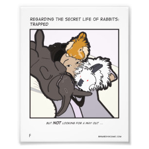 Jen Eli en Buns Foto Afdruk