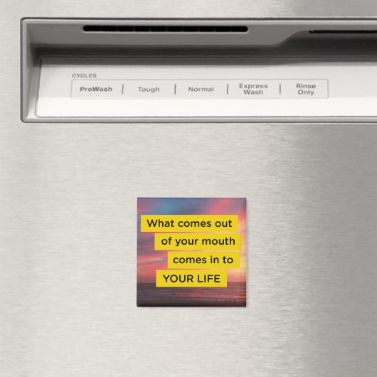 Jen Sincero Badass Motivatie Quote Magnet (Insitu (Vaatwasser))