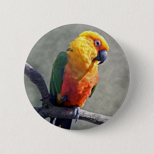 Jenday Conure Badge Ronde Button 5,7 Cm (Voorkant)