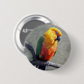 Jenday Conure Badge Ronde Button 5,7 Cm (Voorkant /achterkant)