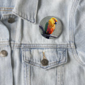 Jenday Conure Badge Ronde Button 5,7 Cm (In situ)