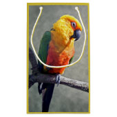 Jenday Conure-cadeaubag Klein Cadeauzakje (Achterkant)