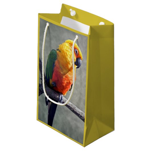 Jenday Conure-cadeaubag Klein Cadeauzakje (Voorkant Gekanteld)