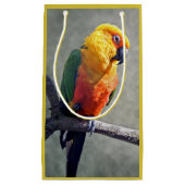Jenday Conure-cadeaubag Klein Cadeauzakje (Voorkant)