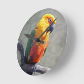 Jenday Conure Clock Ronde Klok (Hoek)