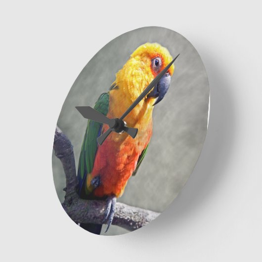 Jenday Conure Clock Ronde Klok (Hoek)
