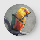 Jenday Conure Clock Ronde Klok (Voorkant)