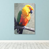 Jenday Conure Ingepakt Canvas Afdruk (Insitu (Houten vloer))