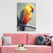 Jenday Conure Ingepakt Canvas Afdruk (Insitu (Woonkamer))