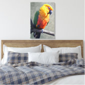 Jenday Conure Ingepakt Canvas Afdruk (Insitu (Slaapkamer))