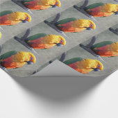Jenday Conure inpakpapier (Hoek)