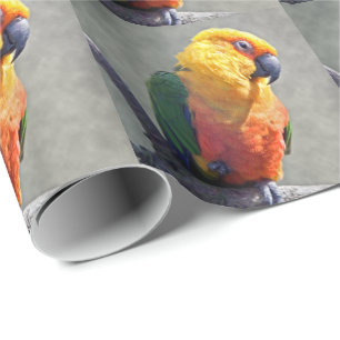 Jenday Conure inpakpapier