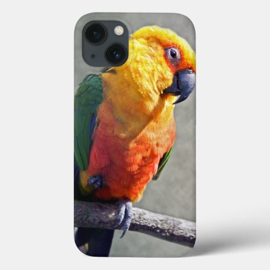 Jenday Conure iPad Hoes (Achterkant)