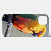 Jenday Conure iPad Hoes (Achterkant (horizontaal))