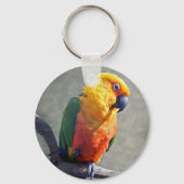 Jenday Conure Keyring Sleutelhanger (Voorkant)