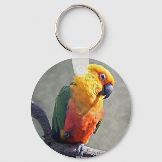Jenday Conure Keyring Sleutelhanger (Voorkant)