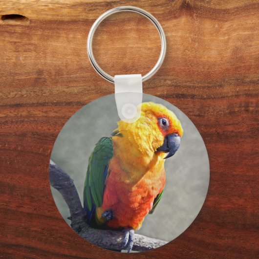 Jenday Conure Keyring Sleutelhanger (Voorkant)