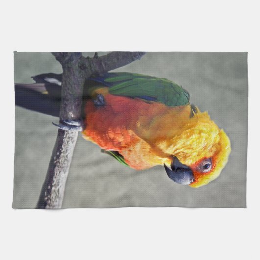 Jenday Conure Kitchen Towel Theedoek (Horizontaal)