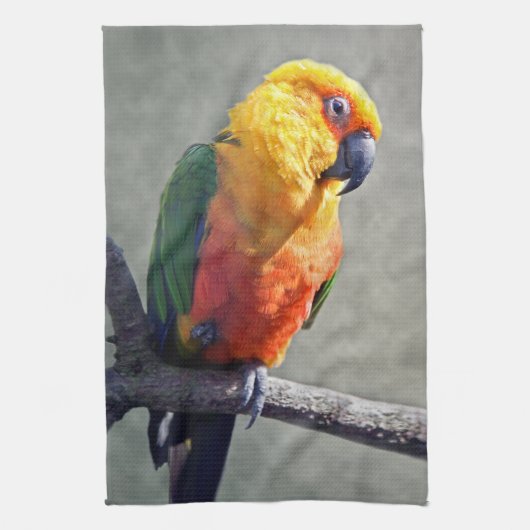 Jenday Conure Kitchen Towel Theedoek (Verticaal)